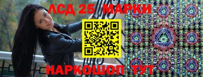 мяу мяу мука Нальчик