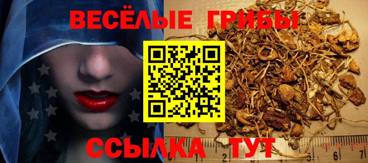 Псилоцибиновые грибы мицелий Урюпинск